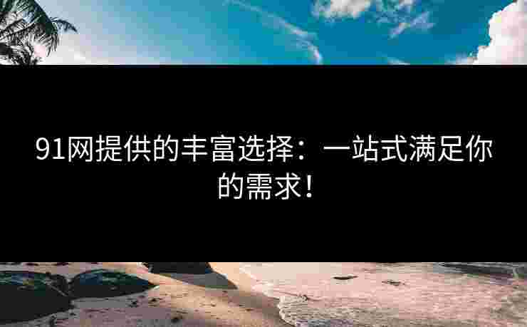 91网提供的丰富选择：一站式满足你的需求！