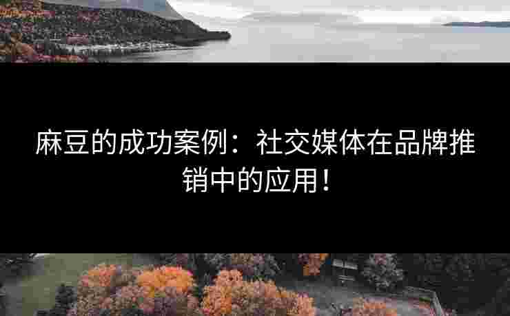 麻豆的成功案例：社交媒体在品牌推销中的应用！