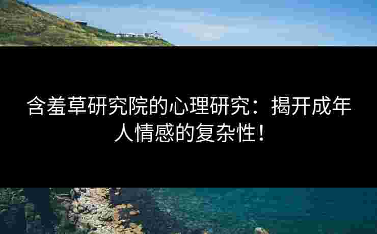 含羞草研究院的心理研究：揭开成年人情感的复杂性！